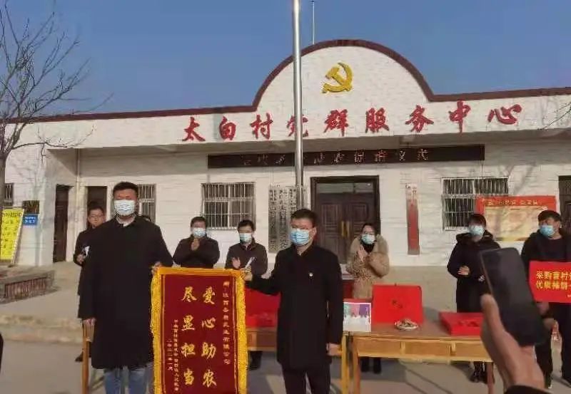 愛心助農(nóng),盡顯擔(dān)當(dāng)|圣唐乳業(yè)直購一萬斤富平柿餅